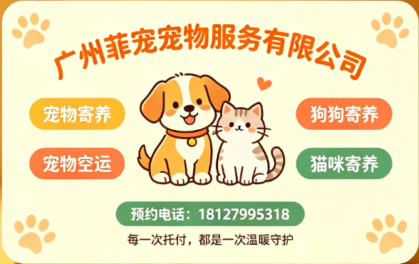 广州菲宠遂宁线上分站